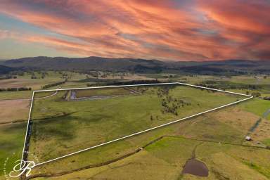 Farm For Sale - NSW - East Seaham - 2324 - Prime Agricultural Investment – 125 Acres of Productive Farmland  (Image 2)