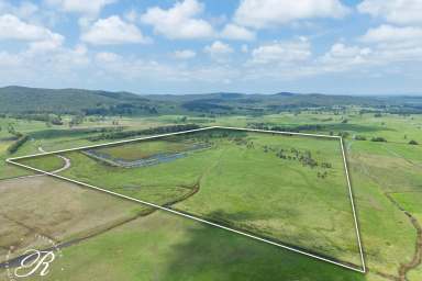 Farm For Sale - NSW - East Seaham - 2324 - Prime Agricultural Investment – 125 Acres of Productive Farmland  (Image 2)