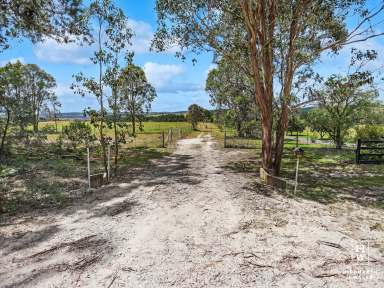 Farm For Sale - NSW - Bungonia - 2580 - Prime Grazing Country & Lifestyle Property  (Image 2)