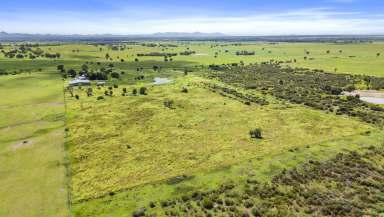 Farm For Sale - QLD - Garnant - 4702 - 20* Acres of Peaceful Rural Living Close to Town  (Image 2)