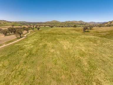 Farm For Sale - NSW - Jugiong - 2726 - FOR LEASE  (Image 2)