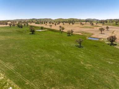 Farm For Sale - NSW - Jugiong - 2726 - FOR LEASE  (Image 2)