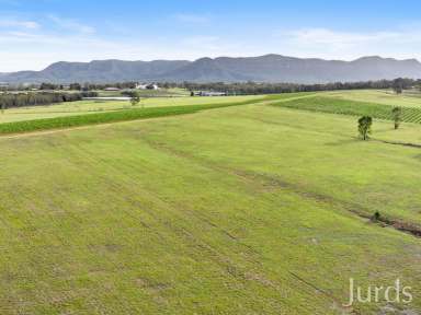 Farm For Sale - NSW - Pokolbin - 2320 - RARE 208 ACRE HOLDING IN HEART OF WINE COUNTRY  (Image 2)