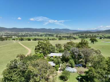 Farm For Sale - NSW - Scone - 2337 - Standout Rural Lifestyle Property "Nullegai"  (Image 2)