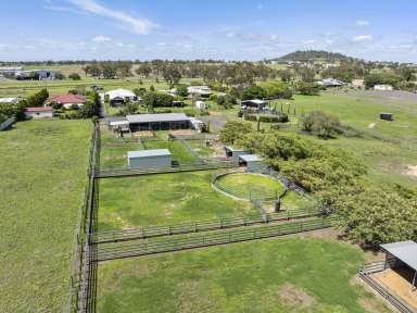 Farm For Sale - QLD - Pittsworth - 4356 - First Class Boutique Equine & Lifestyle Property  (Image 2)