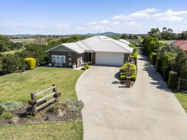 Farm For Sale - QLD - Pittsworth - 4356 - First Class Boutique Equine & Lifestyle Property  (Image 2)