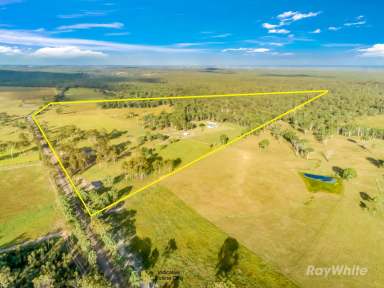 Farm For Sale - QLD - Eureka - 4660 - "99-Acre Lifestyle Haven: Ideal for Cattle Grazing & Horses Near Childers".  (Image 2)