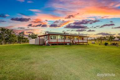 Farm For Sale - QLD - Eureka - 4660 - "99-Acre Lifestyle Haven: Ideal for Cattle Grazing & Horses Near Childers".  (Image 2)