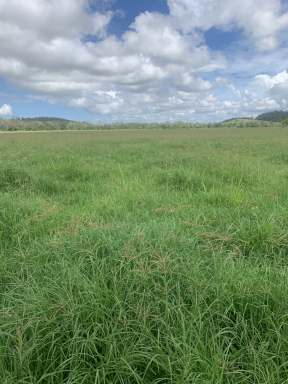 Farm For Sale - QLD - Sunnyside - 4737 - Lifestyle, Grazing & Irrigation Close to Mackay  (Image 2)