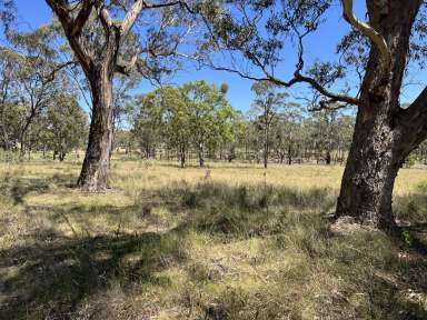 Farm For Sale - NSW - Wandsworth - 2365 - Looking for a starter farm?  (Image 2)