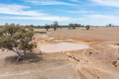 Farm Auction - VIC - Heathcote - 3523 - 414 ACRES OF GRAZING LAND  (Image 2)