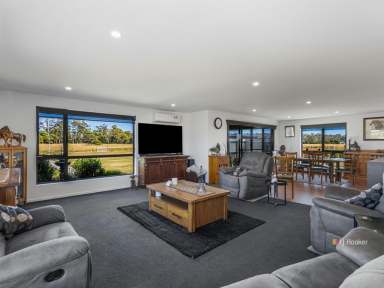 Farm For Sale - TAS - Squeaking Point - 7307 - Elevate Your Lifestyle On Elphin Drive  (Image 2)