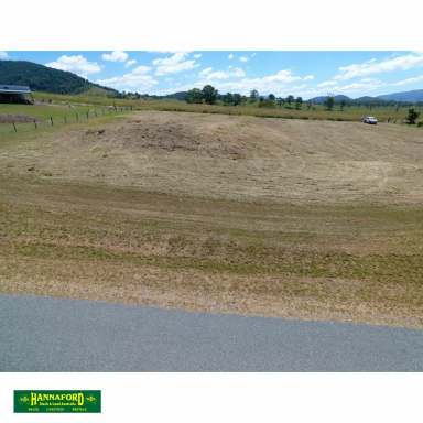 Farm For Sale - NSW - Gloucester - 2422 - MEADOW VIEWS  (Image 2)