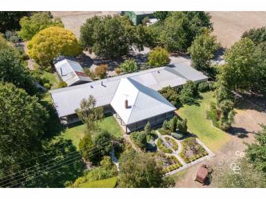 Farm For Sale - SA - Birdwood - 5234 - A Rare and Enviable Lifestyle Property  (Image 2)