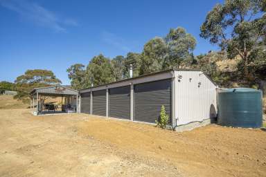 Farm For Sale - TAS - Collinsvale - 7012 - 36 Acres With Large Shed  (Image 2)