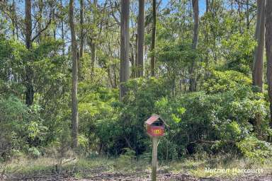 Farm For Sale - VIC - Binginwarri - 3966 - Secluded Camping Block, Surrounded by Nature  (Image 2)