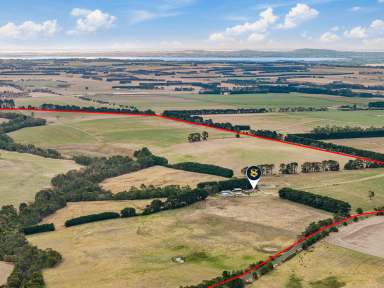 Farm For Sale - VIC - Yeodene - 3249 - ATTRACTIVE COLAC – BIRREGURRA DISTRICT PROPERTY  (Image 2)