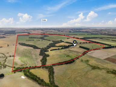 Farm For Sale - VIC - Yeodene - 3249 - ATTRACTIVE COLAC – BIRREGURRA DISTRICT PROPERTY  (Image 2)