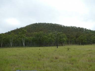 Farm For Sale - QLD - Dundarrah - 4625 - THIS HILL COULD BE YOUR LOOKOUT  (Image 2)