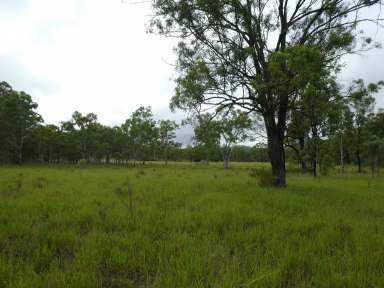 Farm For Sale - QLD - Dundarrah - 4625 - THIS HILL COULD BE YOUR LOOKOUT  (Image 2)