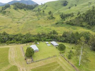 Farm Auction - NSW - Gloucester - 2422 - Gloucester River Retreat  (Image 2)