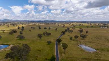 Farm Auction - NSW - Camerons Creek - 2359 - "Stony Batter" Reliable Beef Grazing with Exceptional Water  (Image 2)