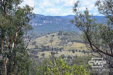 Farm For Sale - NSW - Emmaville - 2371 - River Frontage  (Image 2)