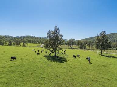 Farm Auction - NSW - Monkerai - 2415 - Beautiful 100-Acre Rural Property with Grazing and Scenic Views  (Image 2)