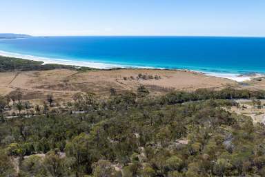 Farm For Sale - TAS - Bicheno - 7215 - A Prime 15 Acre Parcel with Endless Potential  (Image 2)