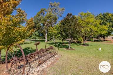 Farm For Sale - VIC - Yelta - 3505 - Private Garden Paradise on 3 Acres (approx.)  (Image 2)