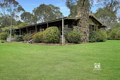 Farm For Sale - VIC - Eagle Point - 3878 - PRIME LOCATION  (Image 2)