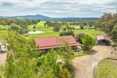 Farm For Sale - VIC - Mount Taylor - 3875 - MOUNTAIN VIEWS!  (Image 2)