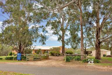 Farm For Sale - VIC - Nicholson - 3882 - SERENE RETREAT  (Image 2)