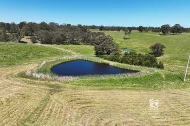 Farm For Sale - VIC - Nicholson - 3882 - IDEAL LOCATION IN NICHOLSON  (Image 2)