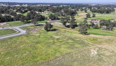 Farm For Sale - VIC - Nicholson - 3882 - HIGH AND PROUD  (Image 2)