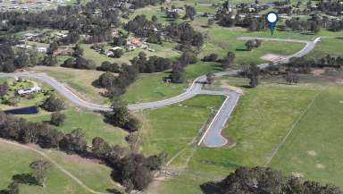 Farm For Sale - VIC - Nicholson - 3882 - VIEWS FRAMED WITH TREES  (Image 2)