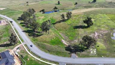 Farm For Sale - VIC - Nicholson - 3882 - MANY OPTIONS  (Image 2)