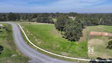 Farm For Sale - VIC - Nicholson - 3882 - LARGE & UNIQUELY POSITIONED  (Image 2)