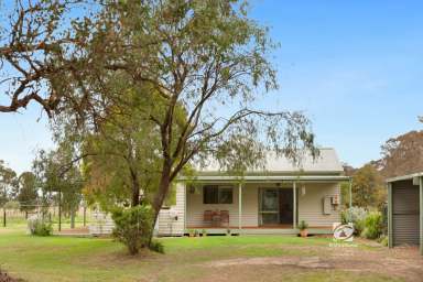 Farm For Sale - VIC - Walpa - 3875 - NEAT AS A PIN SMALL ACREAGE  (Image 2)