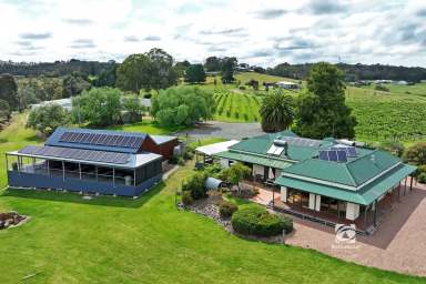 Farm For Sale - VIC - Nicholson - 3882 - EXCEPTIONAL LIFESTYLE PROPERTY WITH HISTORIC HOME, VINEYARD AND FUNCTION CENTRE  (Image 2)