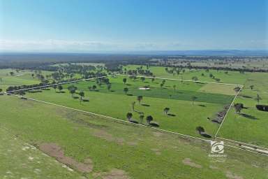 Farm For Sale - VIC - Goon Nure - 3875 - IDEAL GRAZING AND BUILDING OPPORTUNITY  (Image 2)