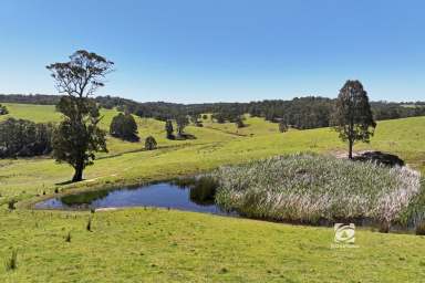 Farm For Sale - VIC - Nicholson - 3882 - SERENITY WITH STUNNING MOUNTAIN VIEWS  (Image 2)