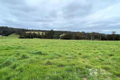 Farm For Sale - VIC - Toorloo Arm - 3909 - SECLUDED SETTING  (Image 2)