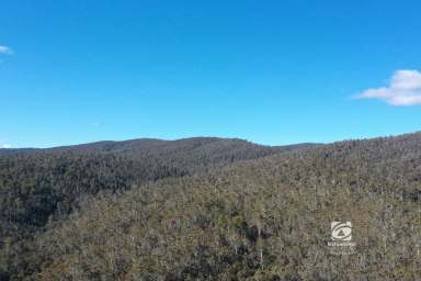 Farm For Sale - VIC - Benambra - 3900 - SLICE OF HEAVEN  (Image 2)