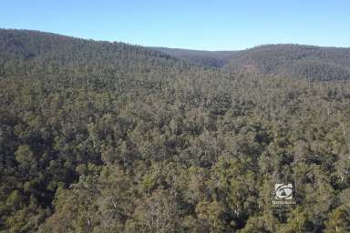 Farm For Sale - VIC - Benambra - 3900 - SLICE OF HEAVEN  (Image 2)