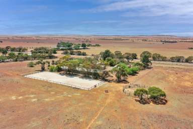 Farm For Sale - SA - Eudunda - 5374 - Giddy Up  (Image 2)