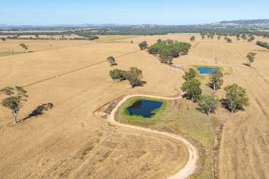 Farm Auction - NSW - Gerogery - 2642 - OUTSTANDING ACERAGE CLOSE TO ALBURY – 403.26*Acres/163.2*Ha  (Image 2)