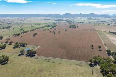 Farm Auction - NSW - Gerogery - 2642 - OUTSTANDING ACERAGE CLOSE TO ALBURY – 403.26*Acres/163.2*Ha  (Image 2)