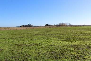 Farm For Sale - VIC - Bessiebelle - 3304 - FOR SALE OR LEASE  (Image 2)