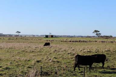 Farm For Sale - VIC - Bessiebelle - 3304 - FOR LEASE  (Image 2)